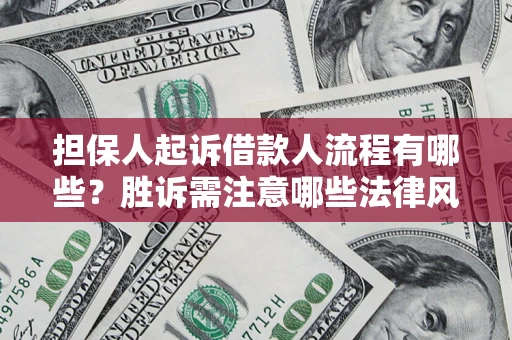 济南担保人起诉借款人流程有哪些？胜诉需注意哪些法律风险？